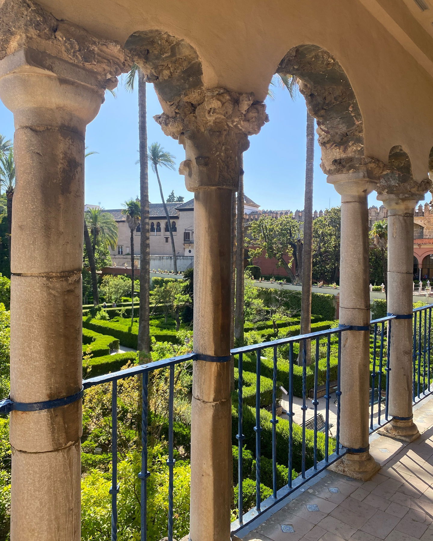 yam_adler instagram image archive image