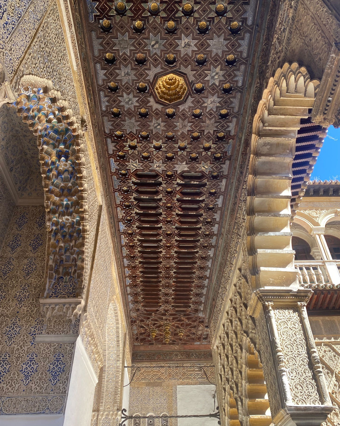 yam_adler instagram image archive image