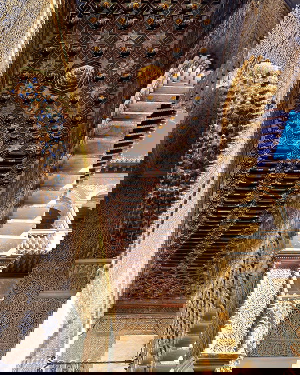 yam_adler image ~ Altpins