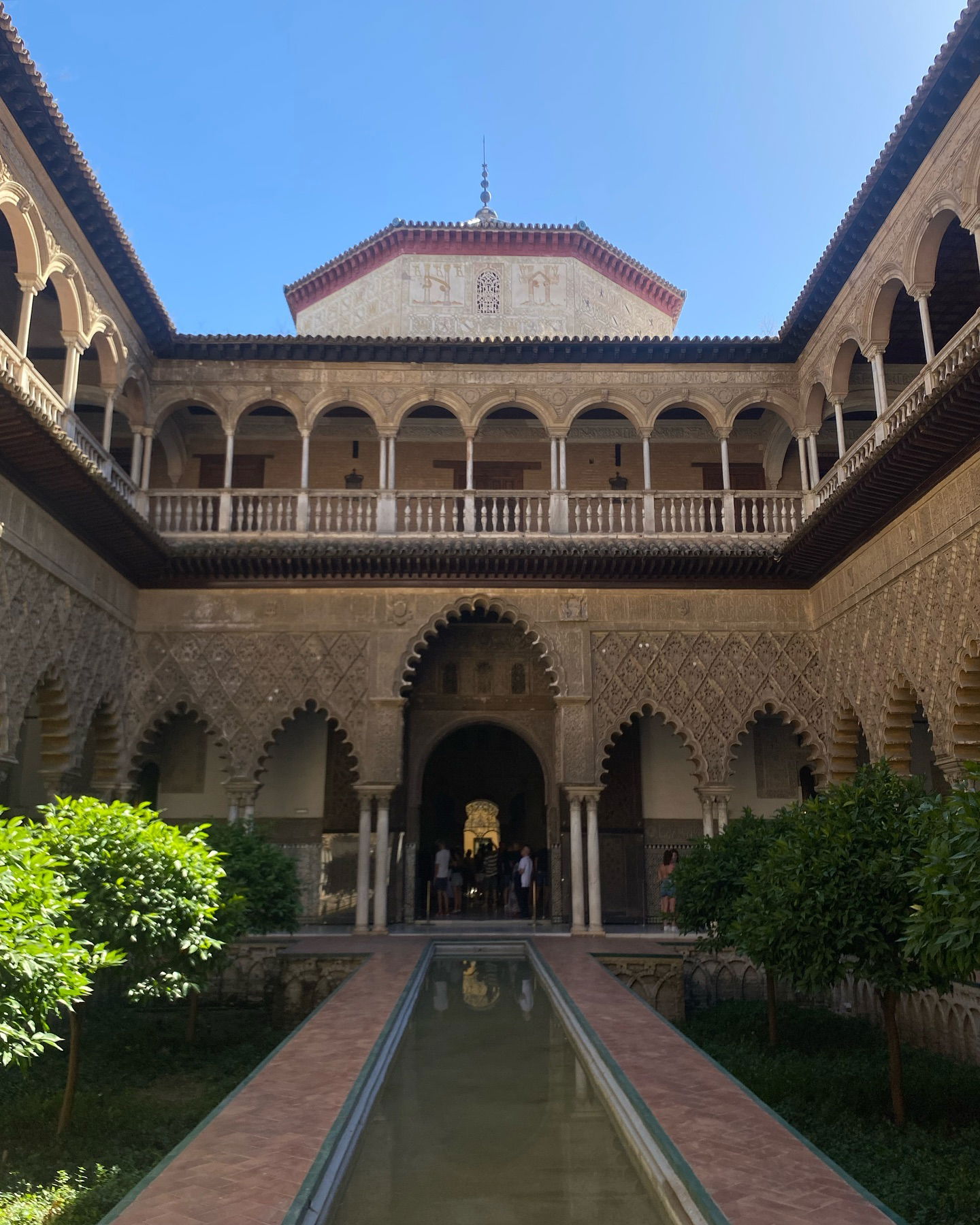 yam_adler instagram image archive image