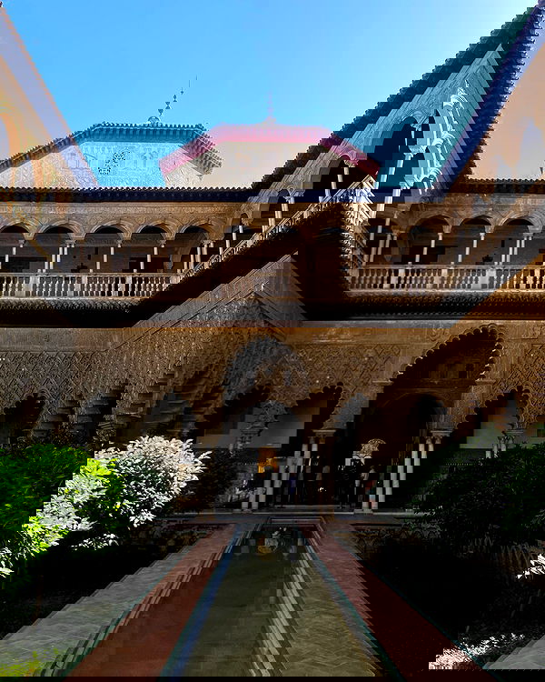 yam_adler image ~ Altpins