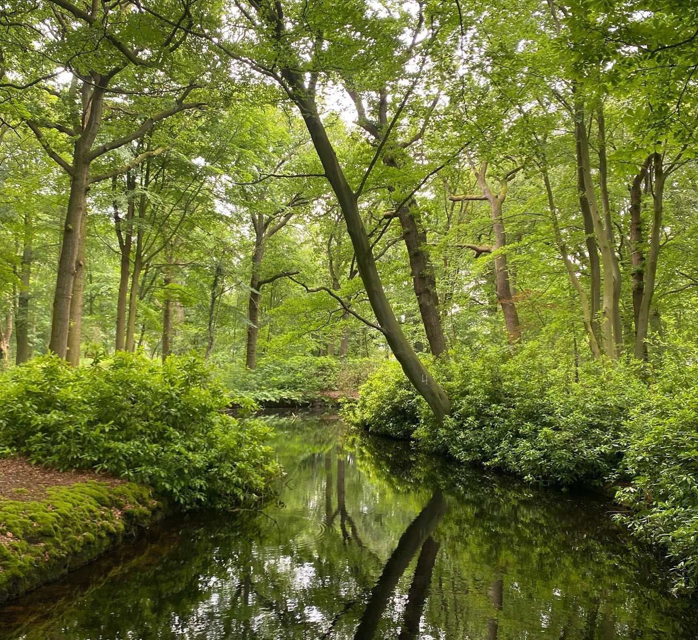 yam_adler instagram image archive image