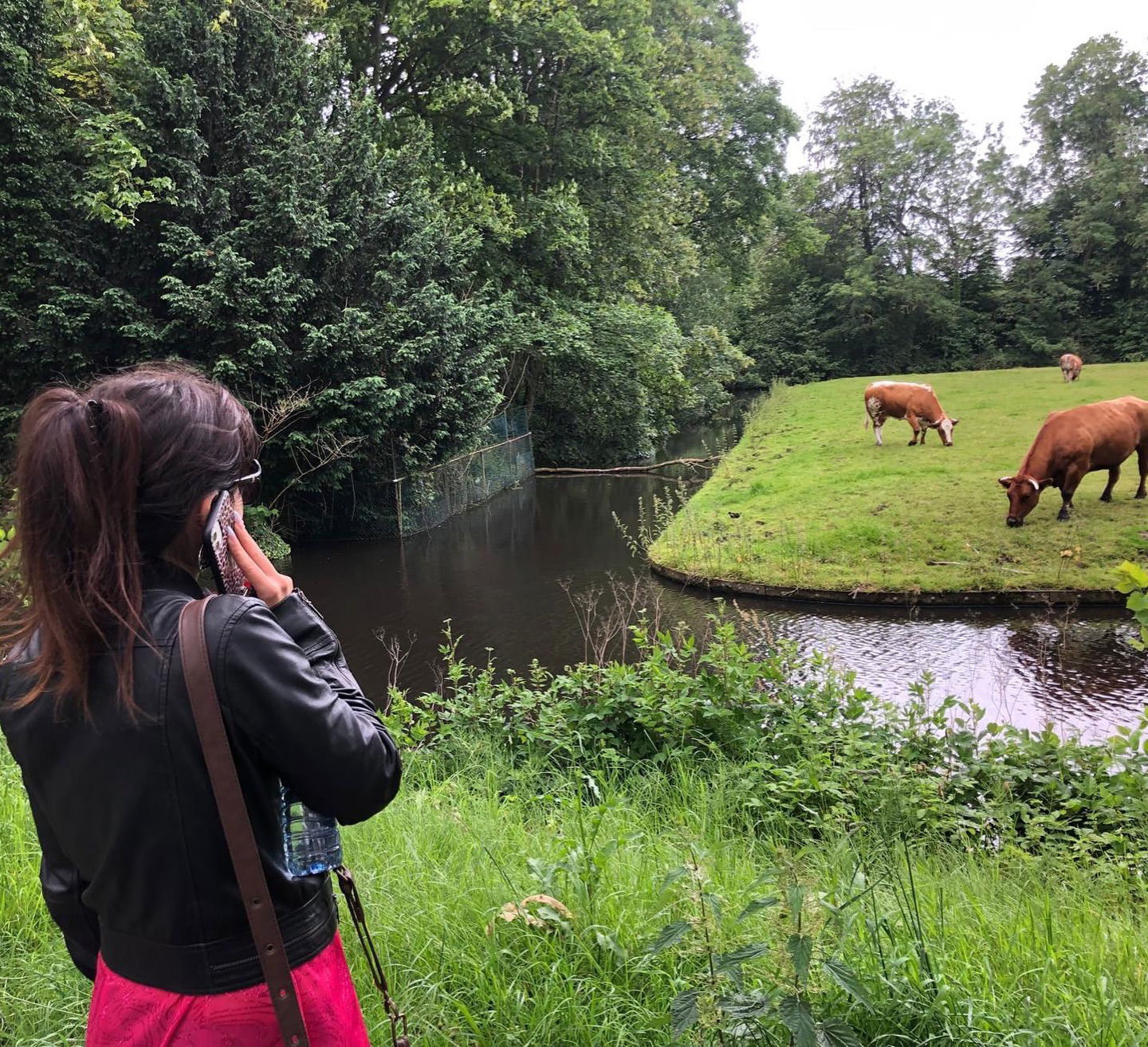 yam_adler instagram image archive image