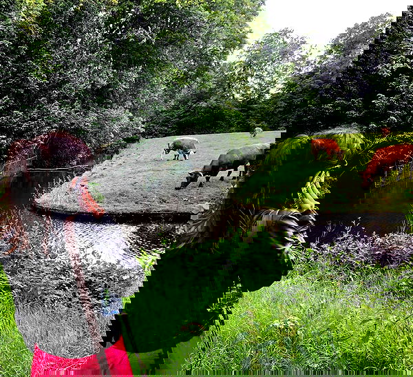 yam_adler image ~ Altpins