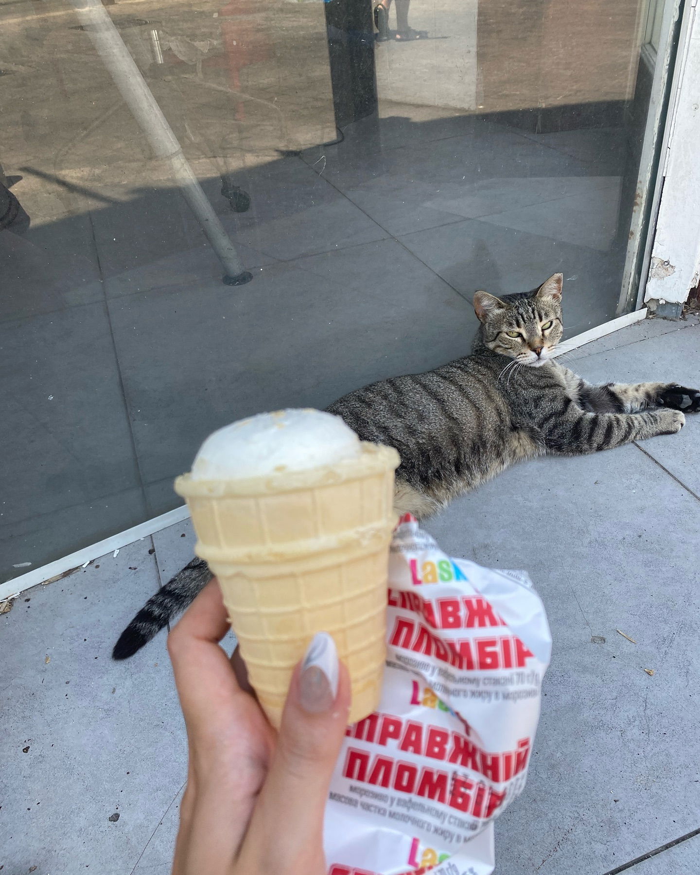 yam_adler instagram image archive image