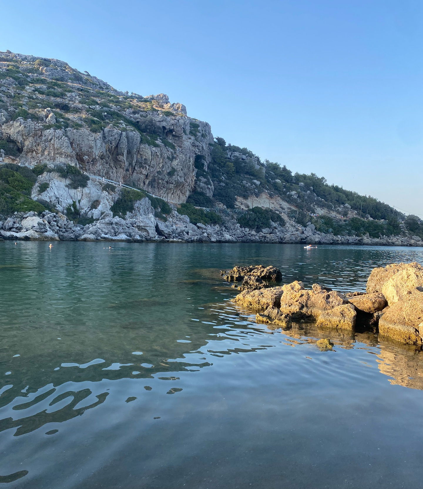 yam_adler instagram image archive image