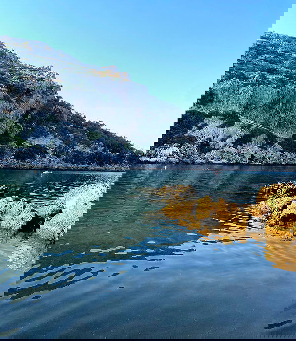 yam_adler image ~ Altpins