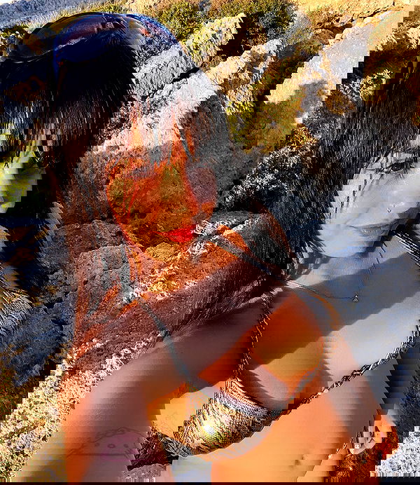 yam_adler image ~ Altpins