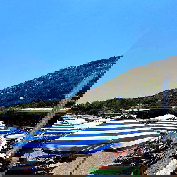 yam_adler image ~ Altpins