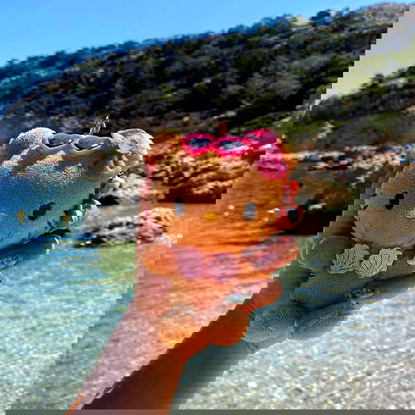 yam_adler image ~ Altpins