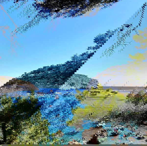 yam_adler image ~ Altpins