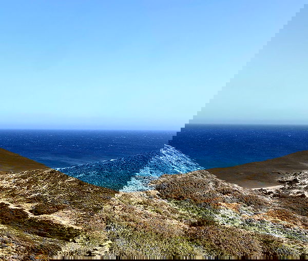 yam_adler image ~ Altpins