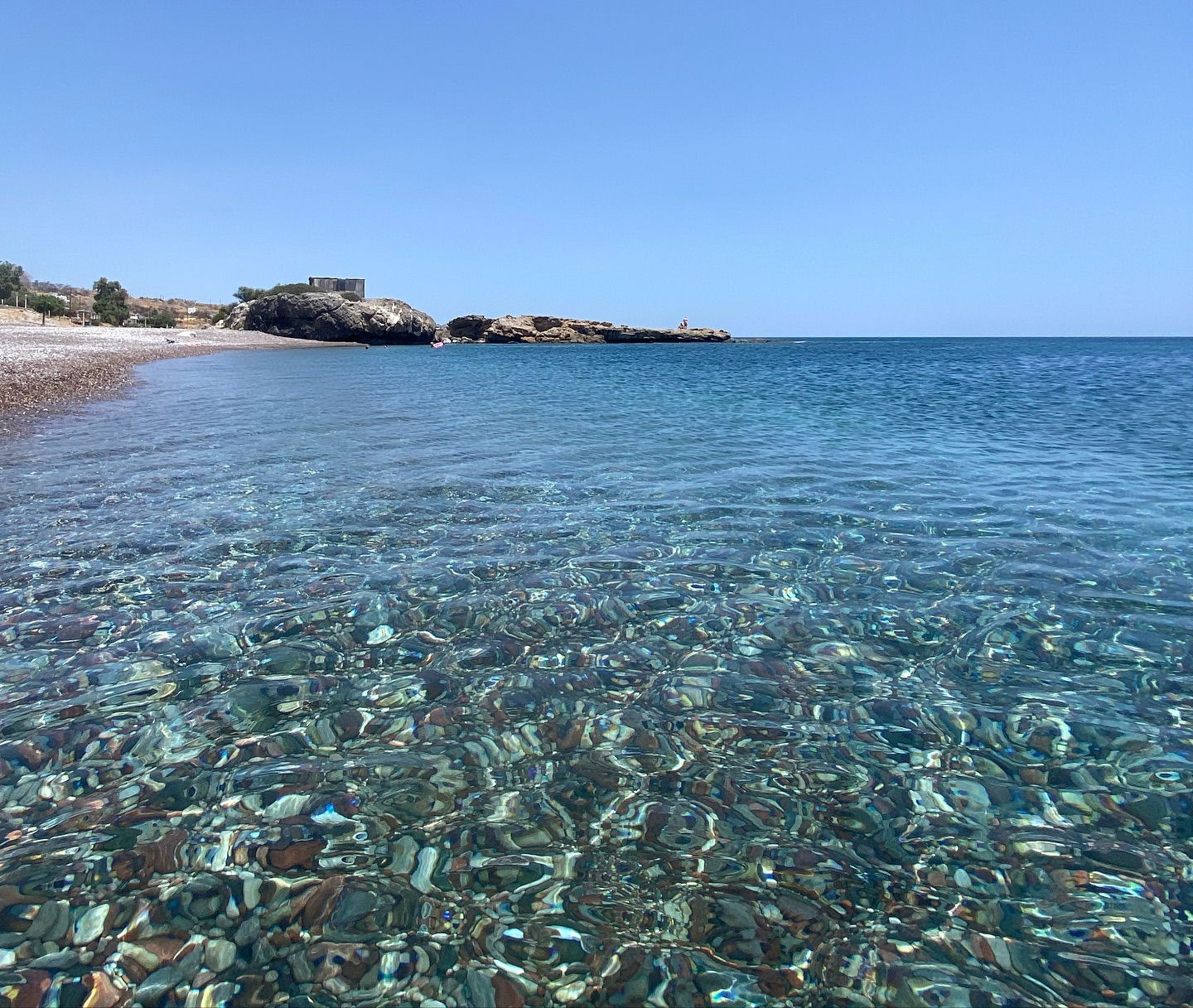 yam_adler instagram image archive image