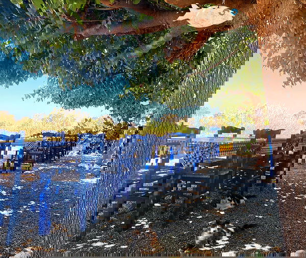 yam_adler image ~ Altpins