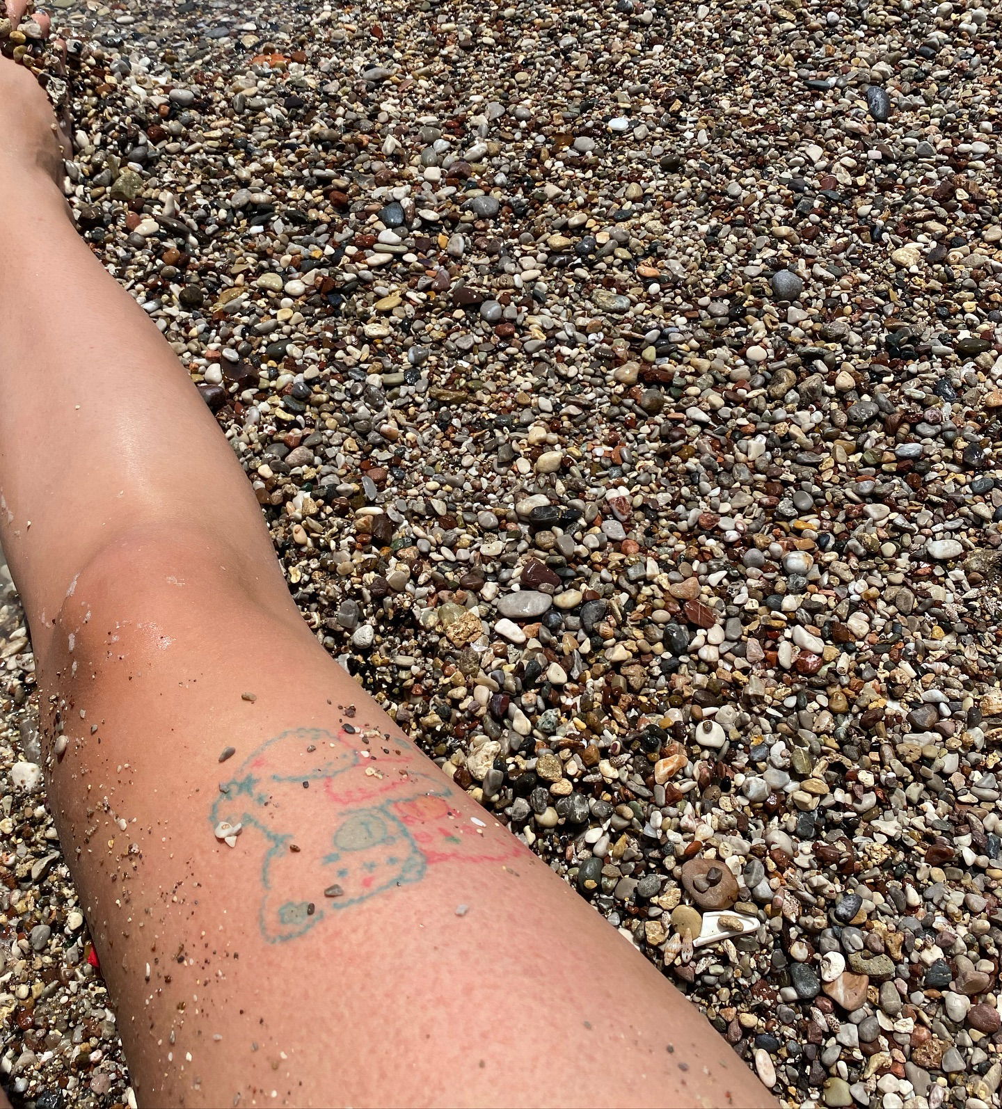 yam_adler instagram image archive image