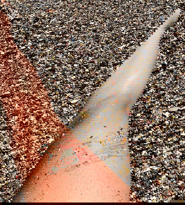 yam_adler image ~ Altpins