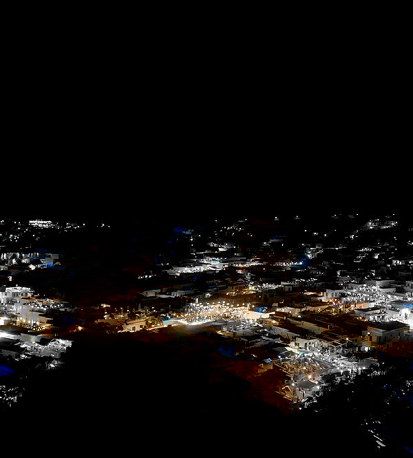 yam_adler image ~ Altpins