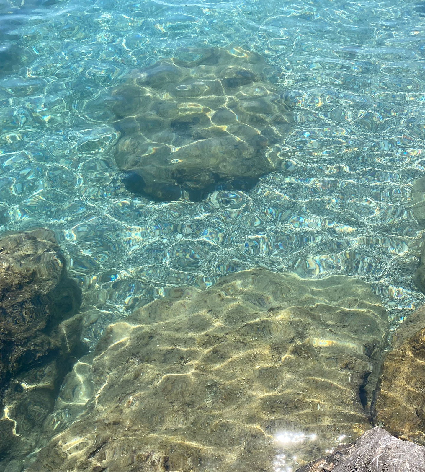 yam_adler instagram image archive image