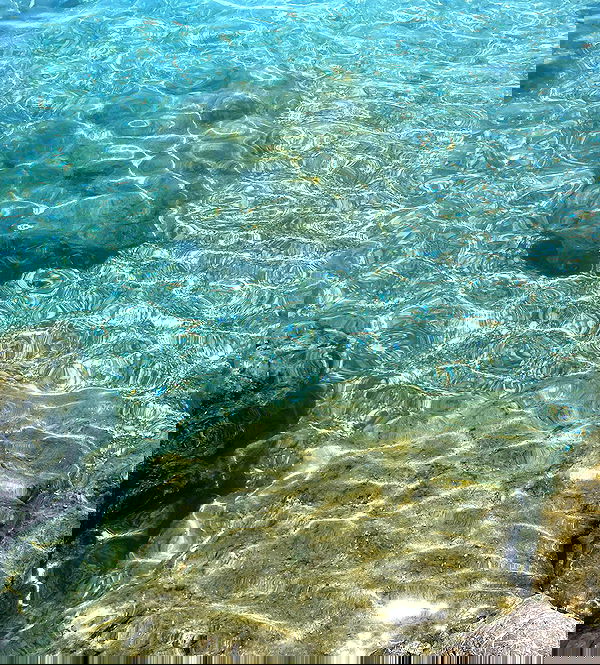 yam_adler image ~ Altpins