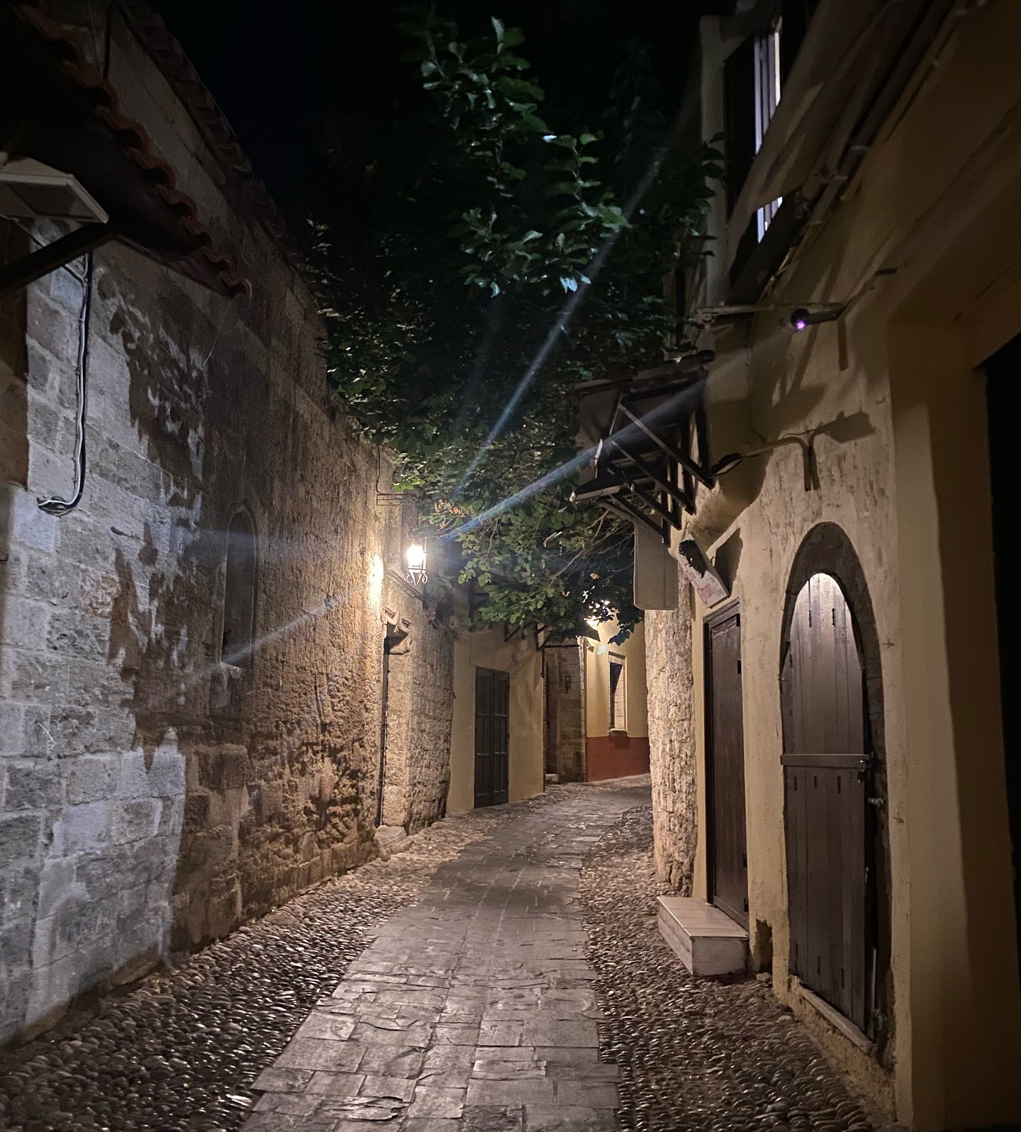 yam_adler instagram image archive image