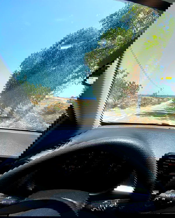 yam_adler image ~ Altpins