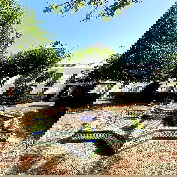 yam_adler image ~ Altpins