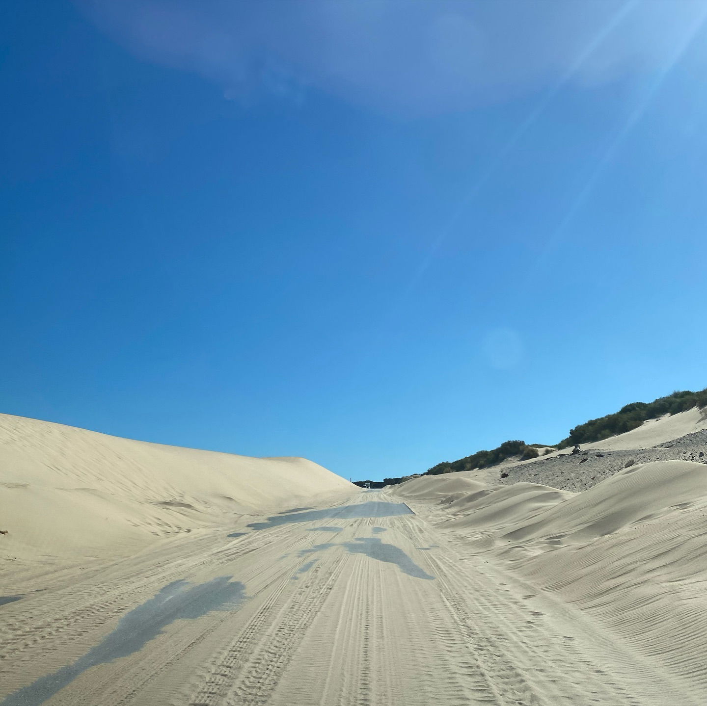 yam_adler instagram image archive image