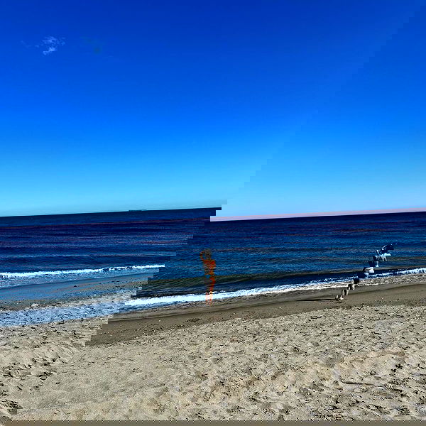 yam_adler image ~ Altpins