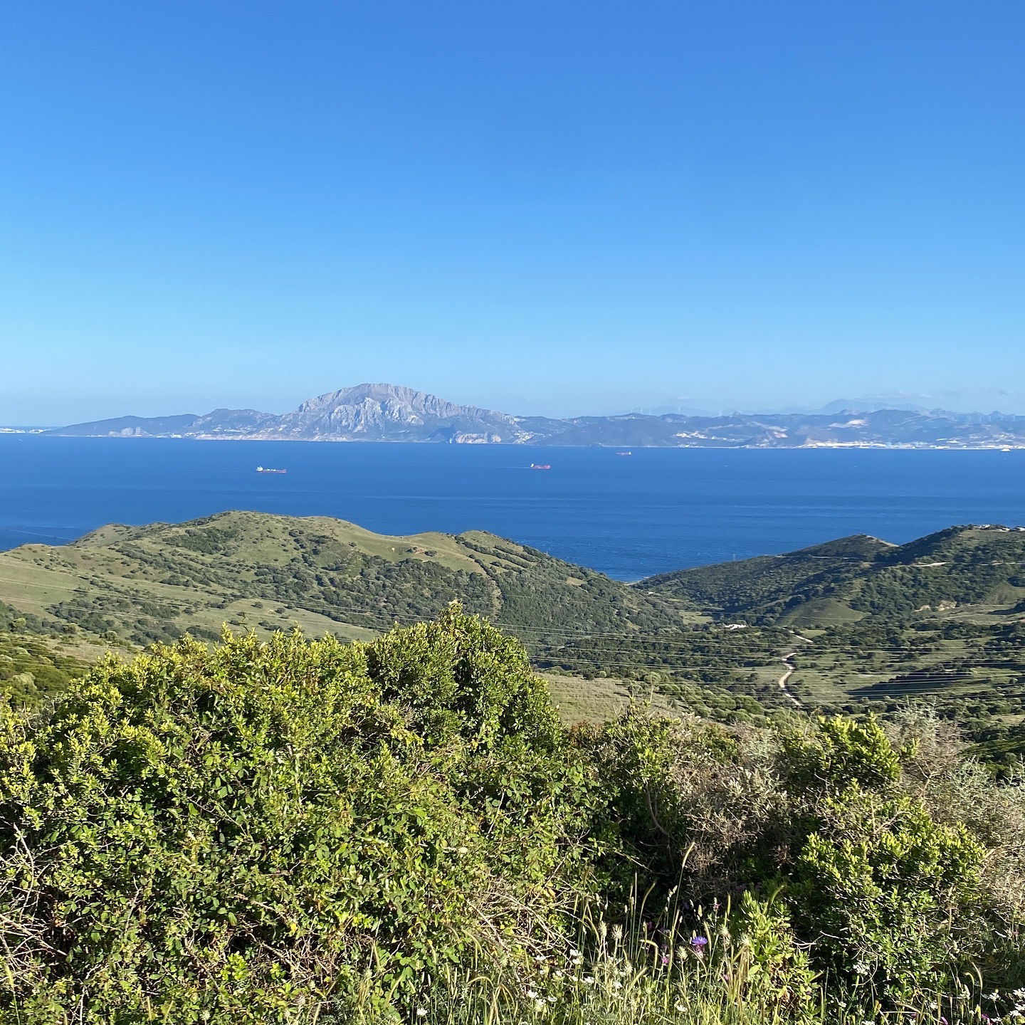 yam_adler instagram image archive image