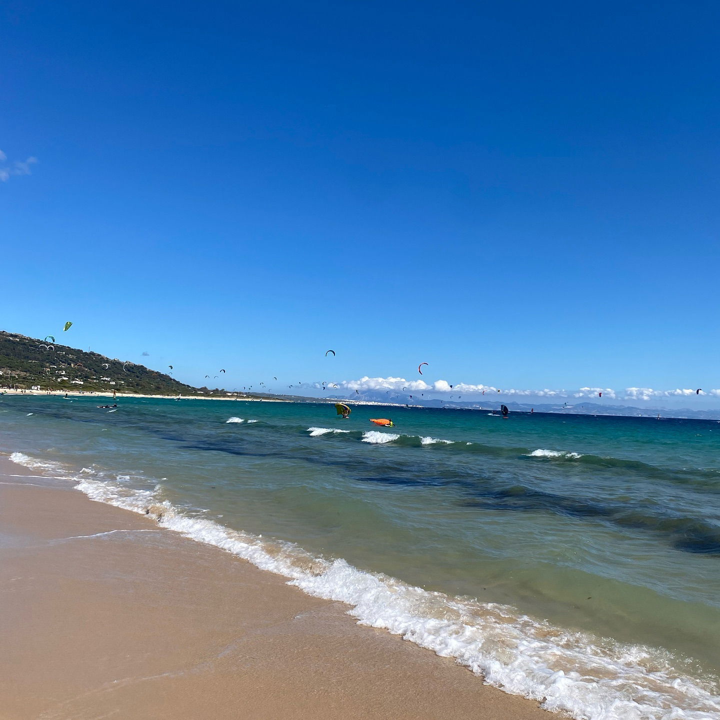 yam_adler instagram image archive image