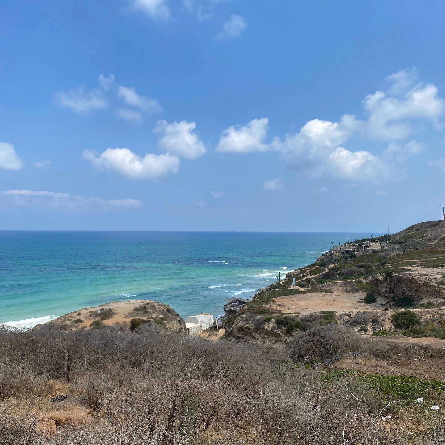 yam_adler instagram image archive image