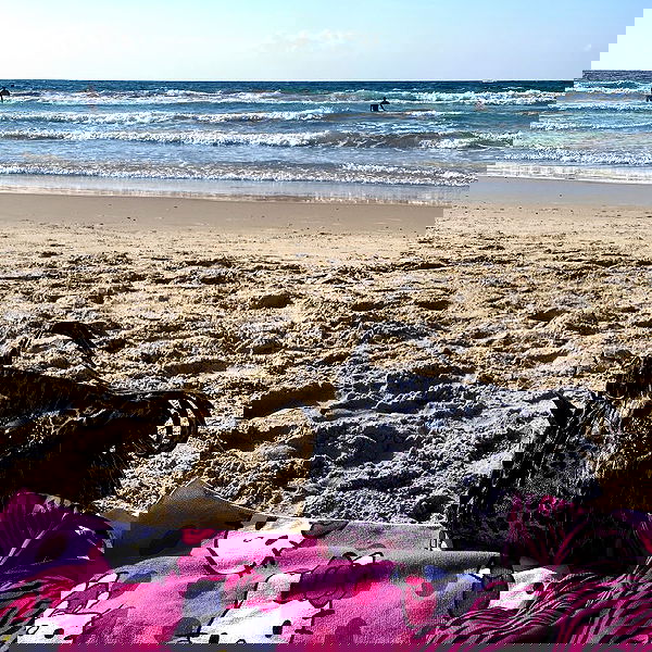 yam_adler image ~ Altpins