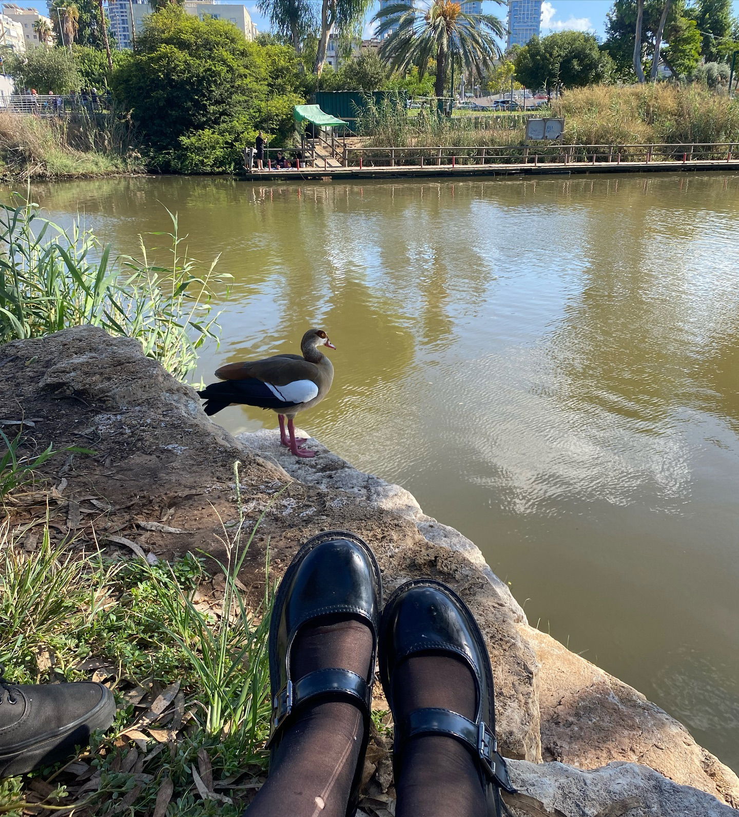 yam_adler instagram image archive image