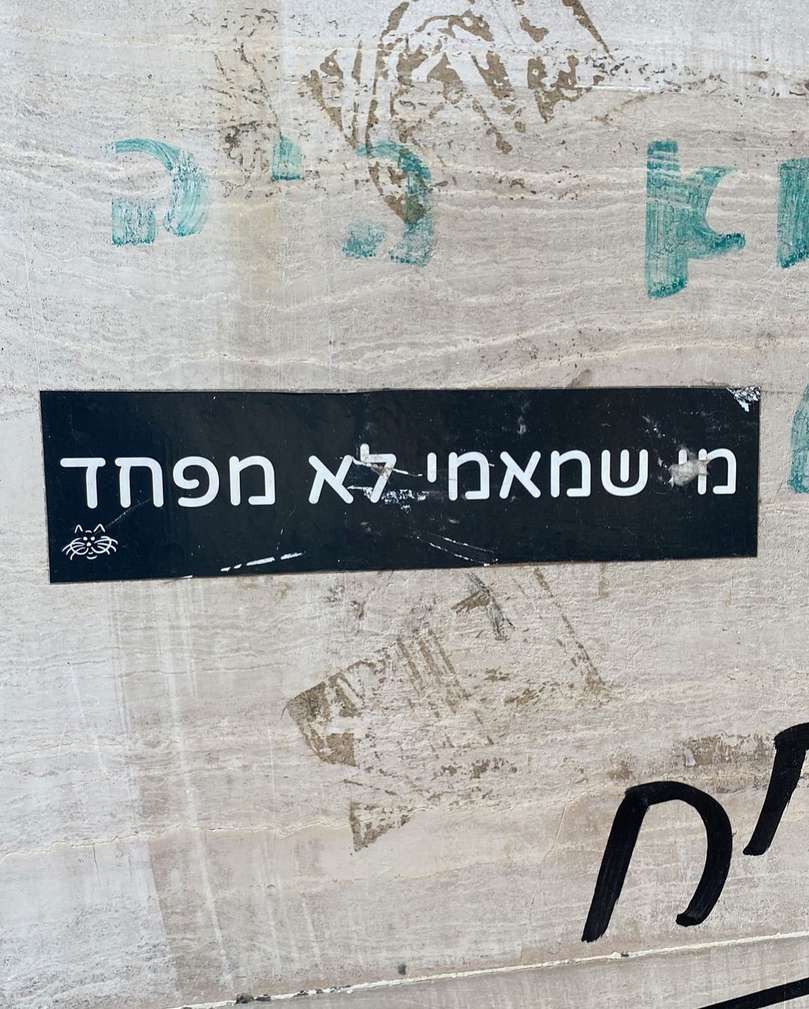 yam_adler instagram image archive image