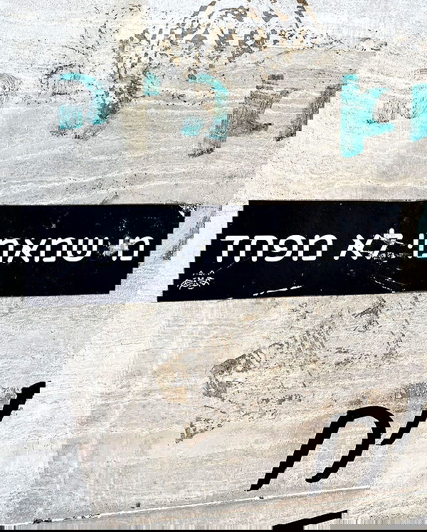 yam_adler image ~ Altpins