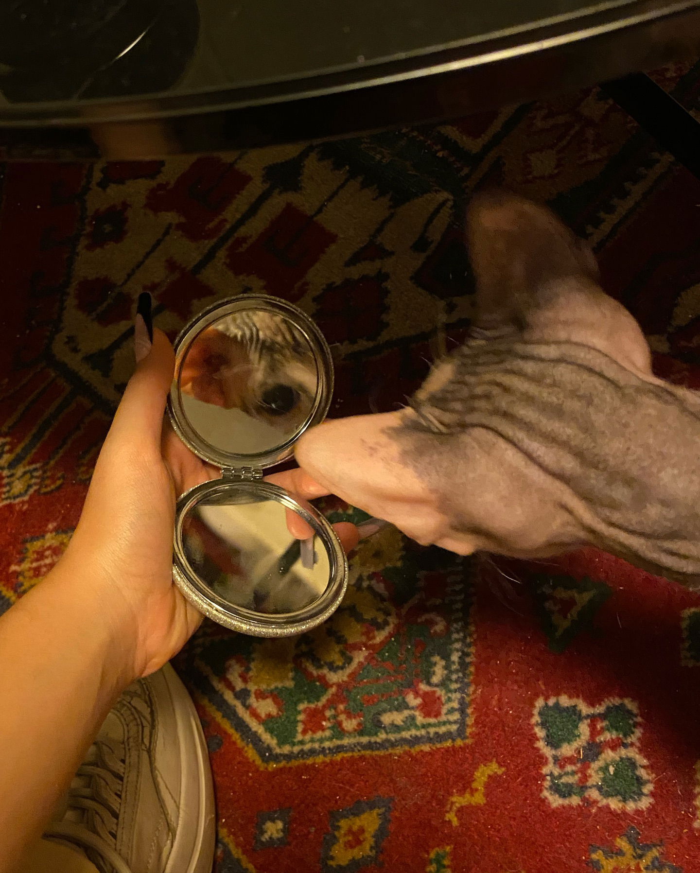 yam_adler instagram image archive image