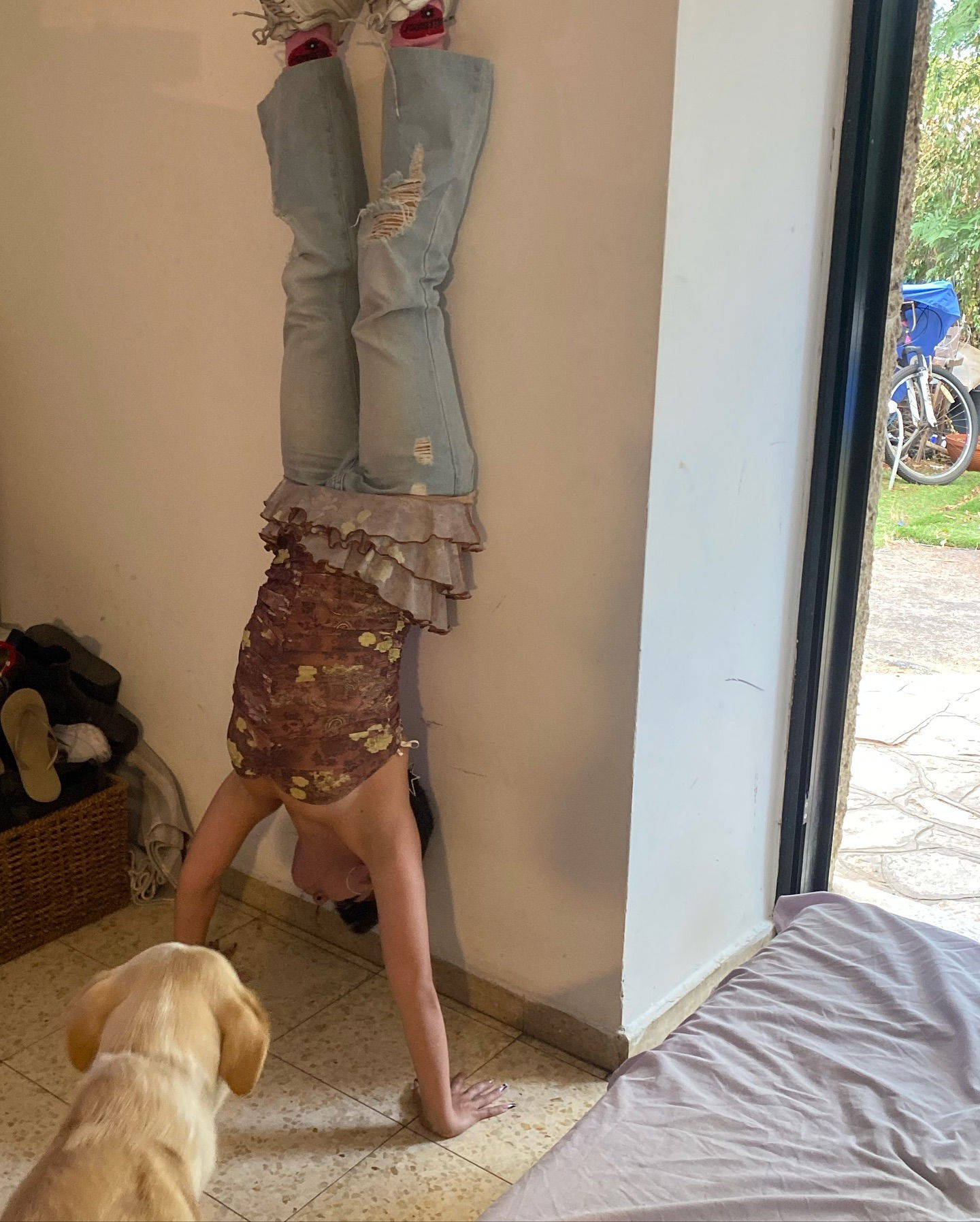 yam_adler instagram image archive image