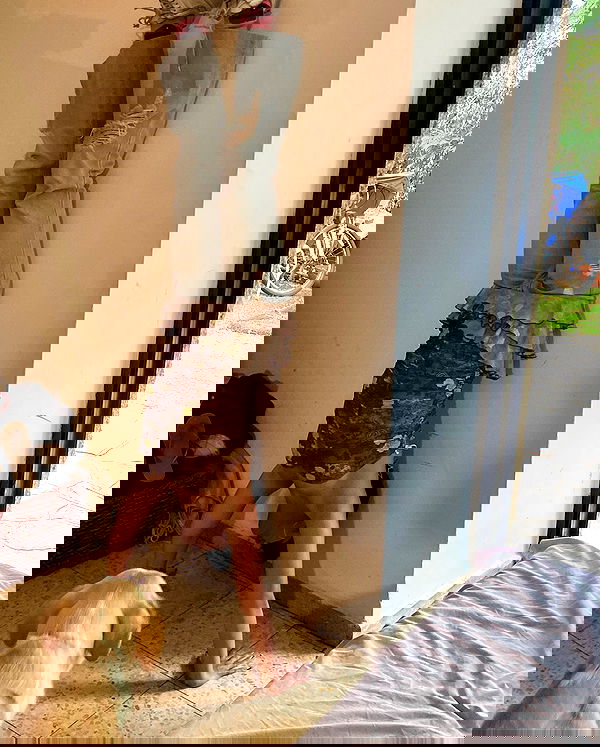 yam_adler image ~ Altpins