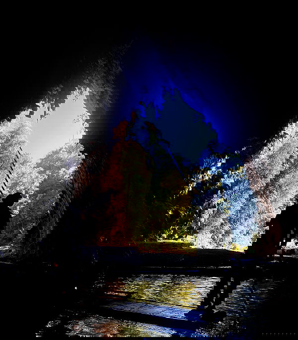 yam_adler image ~ Altpins