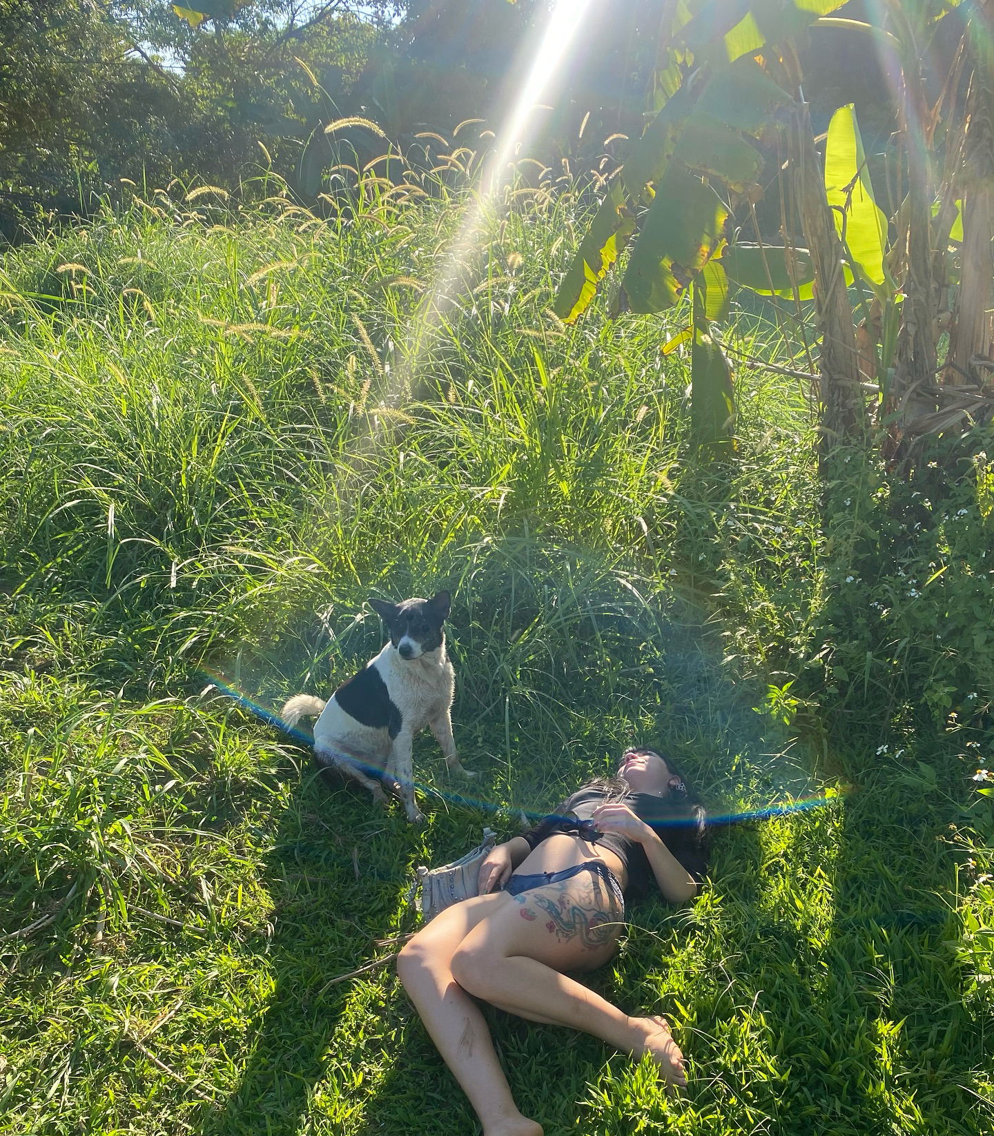 yam_adler instagram image archive image