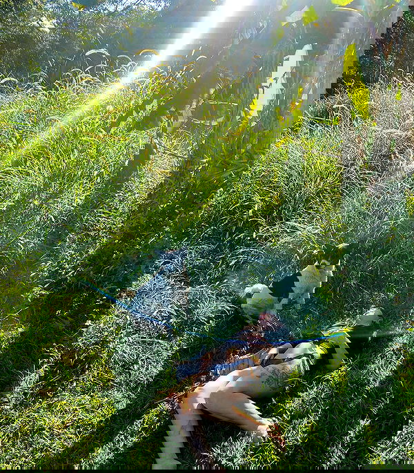 yam_adler image ~ Altpins