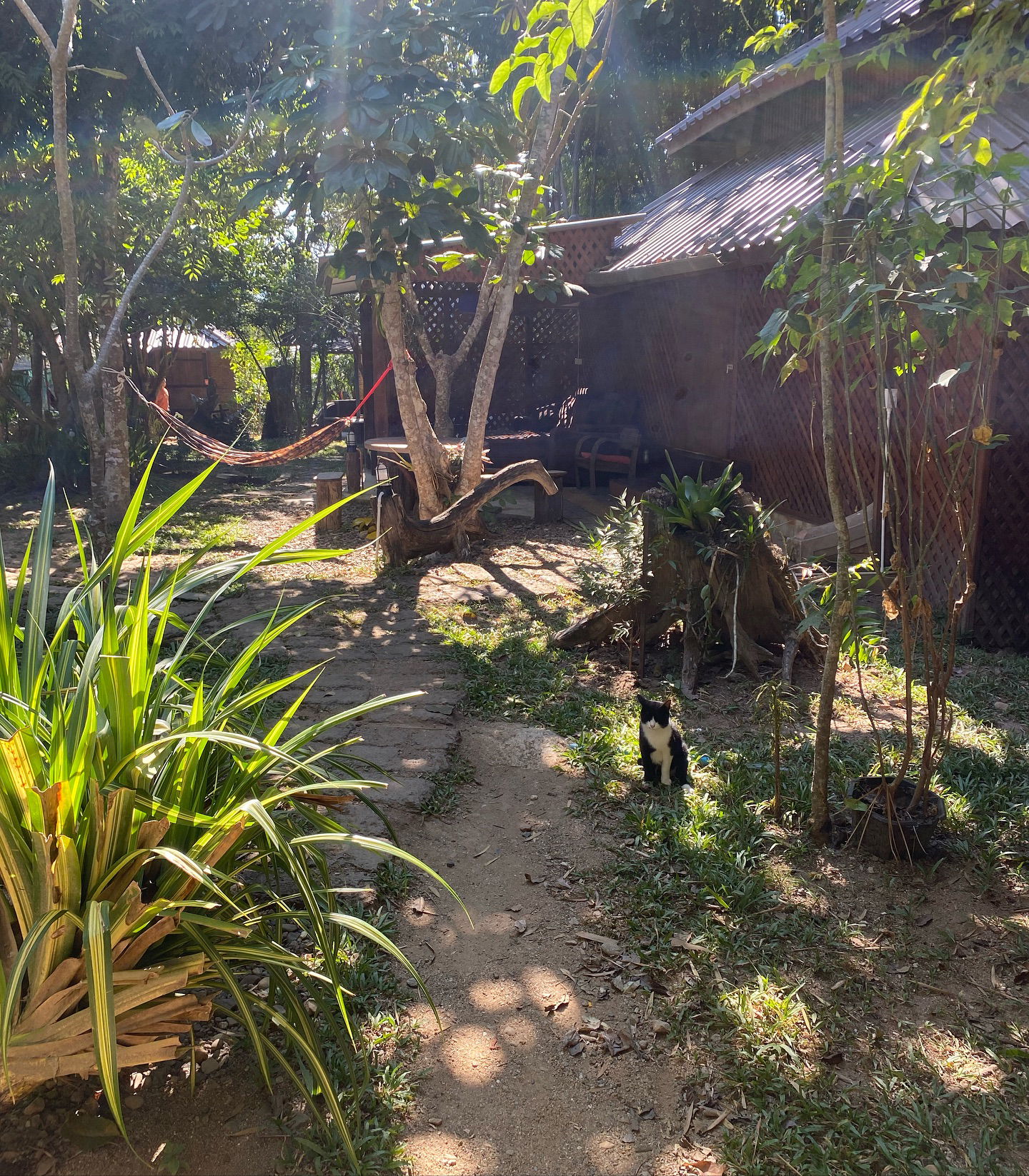 yam_adler instagram image archive image