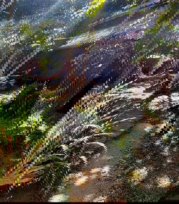 yam_adler image ~ Altpins