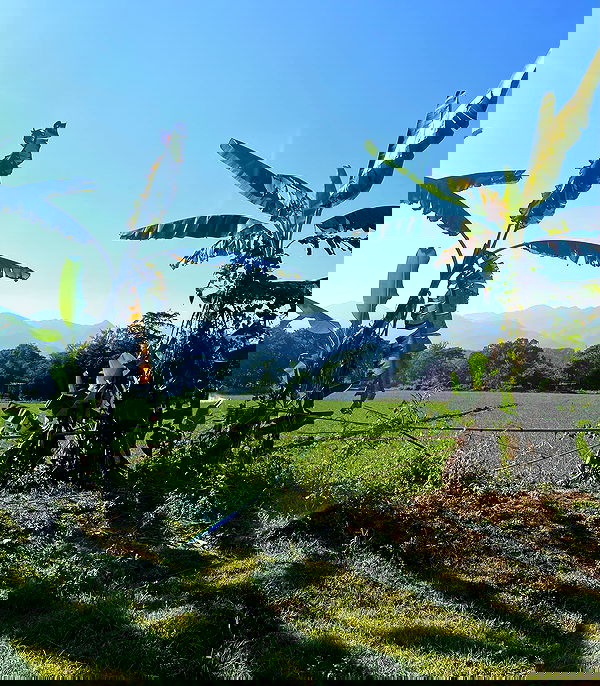 yam_adler image ~ Altpins