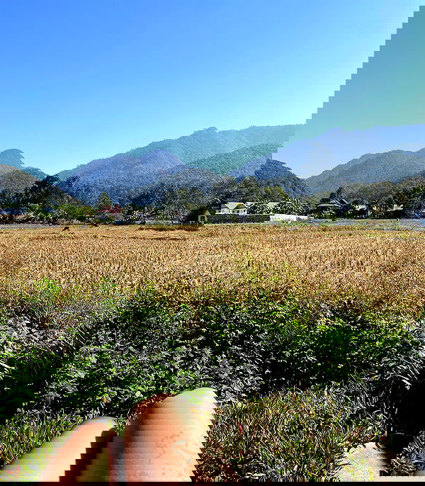 yam_adler image ~ Altpins