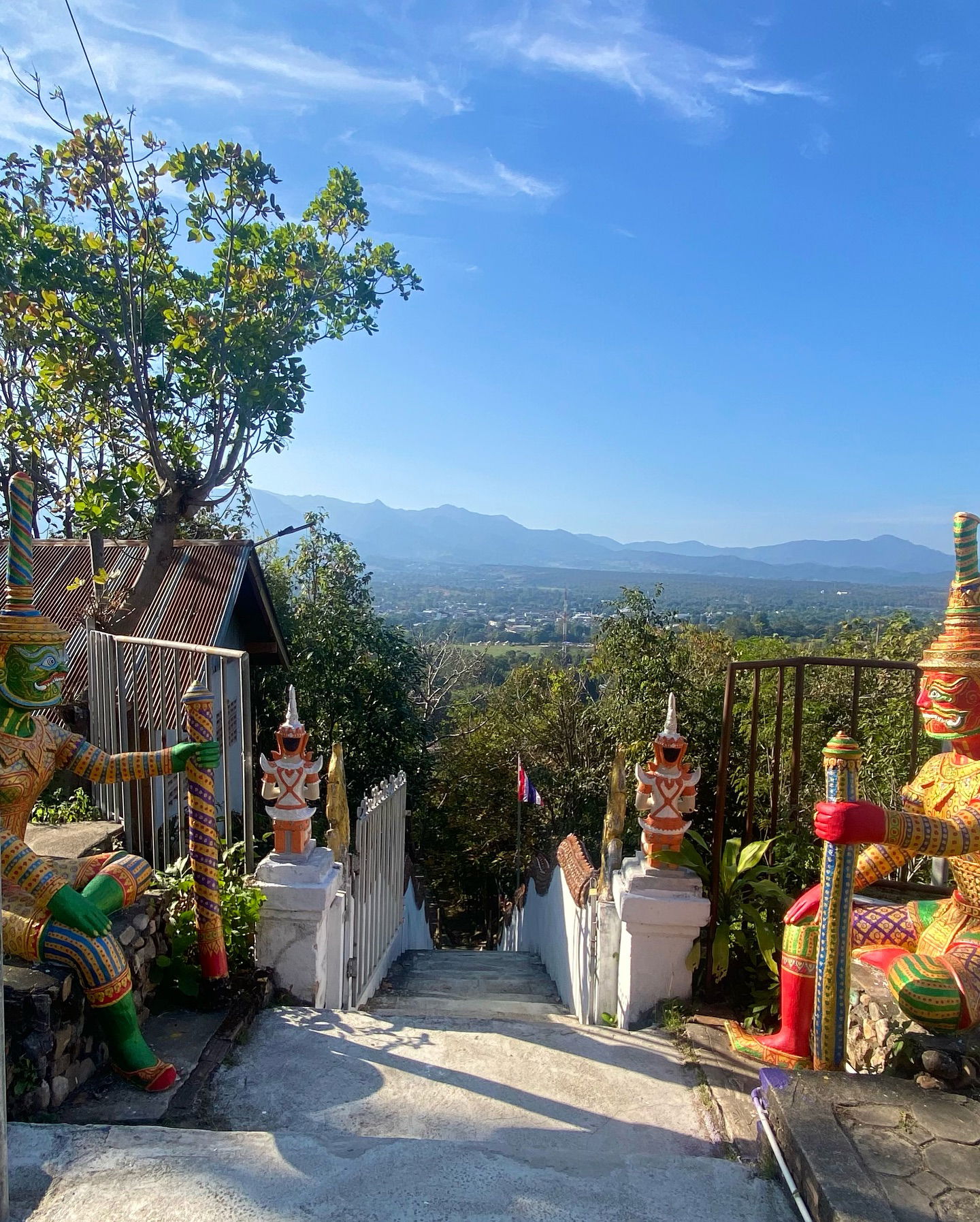 yam_adler instagram image archive image