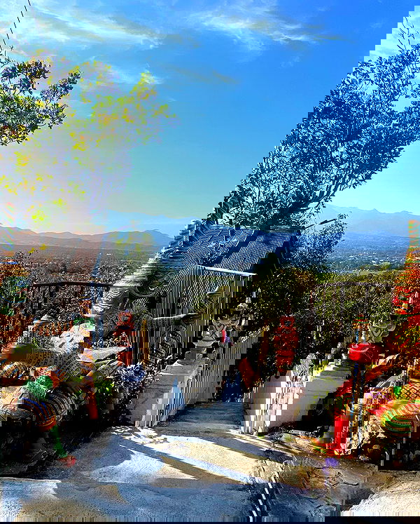 yam_adler image ~ Altpins