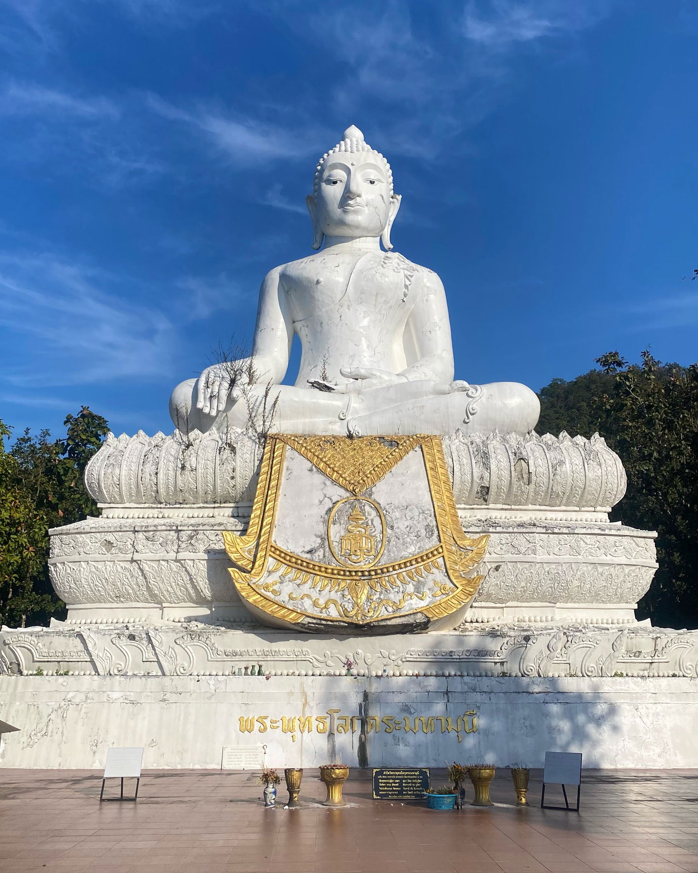 yam_adler instagram image archive image