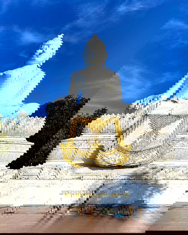 yam_adler image ~ Altpins