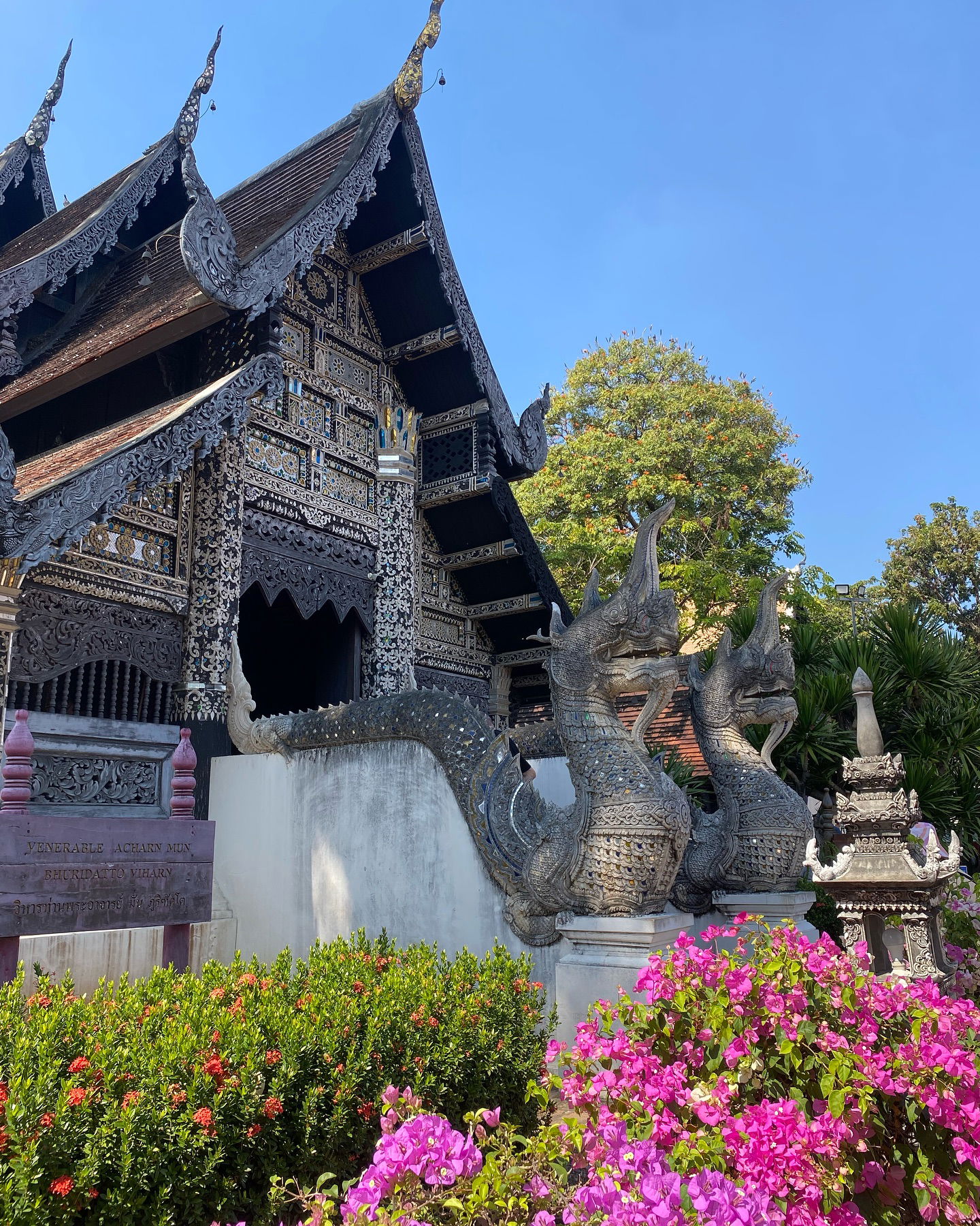 yam_adler instagram image archive image